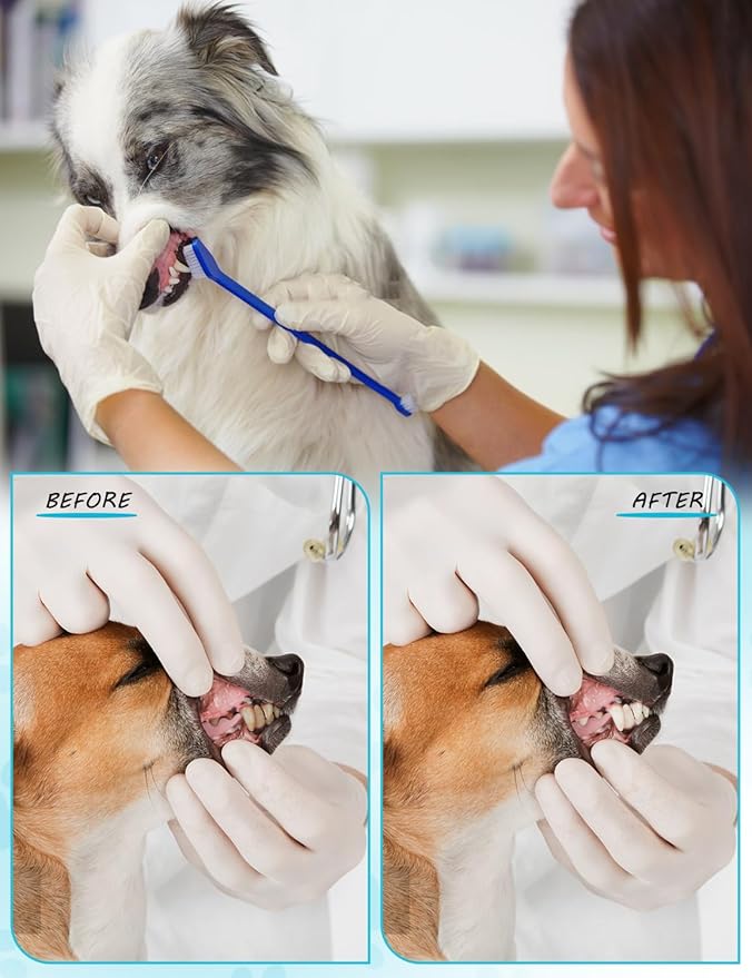 30 Pcs Pet Toothbrush Kit - Dual-Headed Toothbrush for Dogs & Cats - 10 Colors-PawvioPets