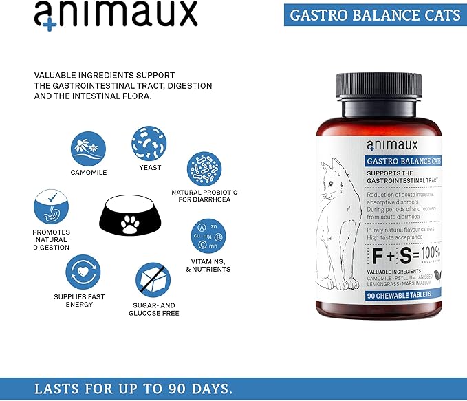 animaux - Gastro Balance for Cats, Supports Gastro-intestinal Tract, Prevents Diarrhoea, Constipation, Hairballs & Flatulence, supplementary probiotics, 90 chewable Tablets, 90 Days Supply-PawvioPets