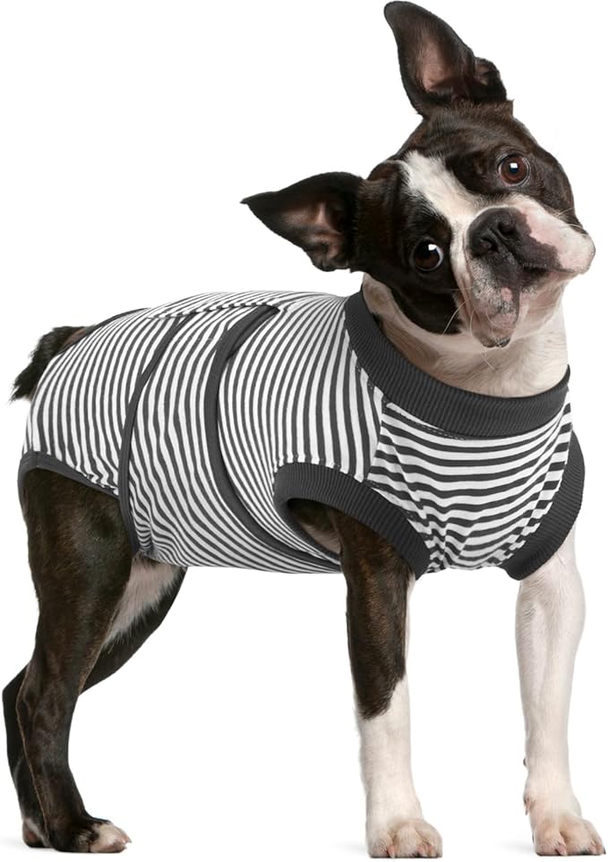 FUAMEY Dog Recovery Suit Male,Dogs Surgery Neuter Suits Puppy Spay Shirts for Female Protect Dog's Skin Anti Licking Abdominal Wounds Doggie Onesie Pet Bodysuit Alternative to Cone Gray Stripes M-PawvioPets