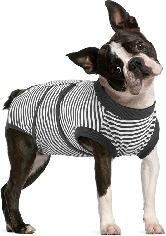 FUAMEY Dog Recovery Suit Male,Dogs Surgery Neuter Suits Puppy Spay Shirts for Female Protect Dog's Skin Anti Licking Abdominal Wounds Doggie Onesie Pet Bodysuit Alternative to Cone Gray Stripes L-PawvioPets
