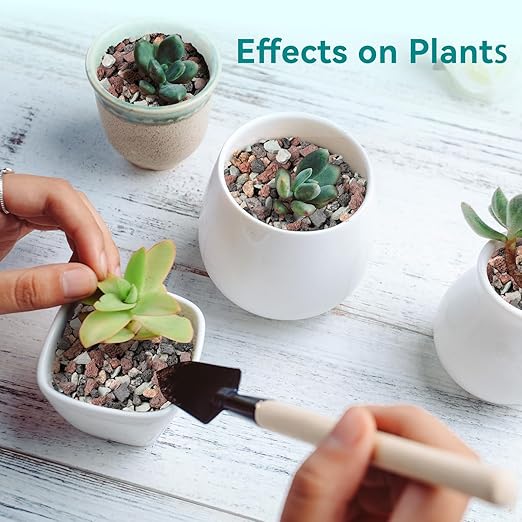 5lbs Terrarium Rocks for Pots Indoor, Succulent, Cactus, Bamboo, Bonsai Tree, 1/5 Inch Rocks for Planters Drainage, Mixed Color Small Lava Rocks for Top-Dressing-PawvioPets