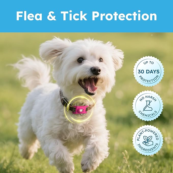 BugMD Paw Guardian Refill, Plant-Powered Flea & Tick Protection Tablets, 3 Count, 30-Day Protection, Natural Essential Oil Formula-PawvioPets