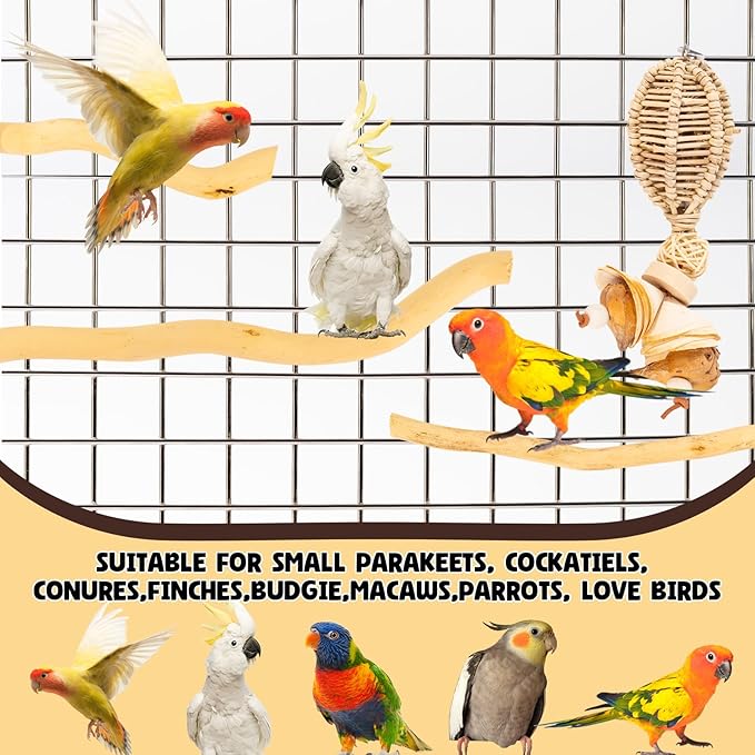 3Pcs Bird Toys Perch Stand for Cage, Natural Parrot Toys, Small Chewing Sticks Toys Bird Cage Accessories for Conures Parakeets Cockatoo African Grey Parrots (3PCS)-PawvioPets
