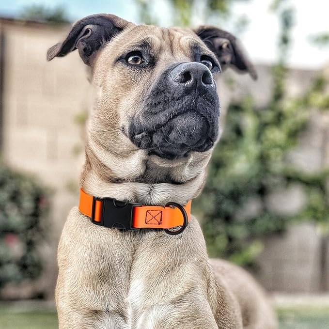 Dogline Biothane Waterproof Dog Collar with Quick Release Buckle Strong Coated Nylon Webbing with Odor- Proof for Easy Care Easy to Clean Fits Small Medium Large Dogs, Orange 5/8" W 9-14" L-PawvioPets