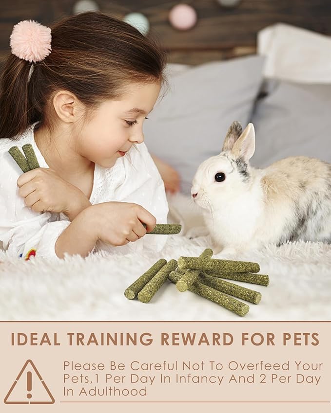 Bissap 22PCS Rabbit Chew Sticks, Mixed Natural Timothy Hay Flower Rose Dahlberg Daisy and Forget-me-not Chew Toys Treats for Bunny Chinchilla Guinea Pig Hamster and Other Small Pets Molar Snacks-PawvioPets