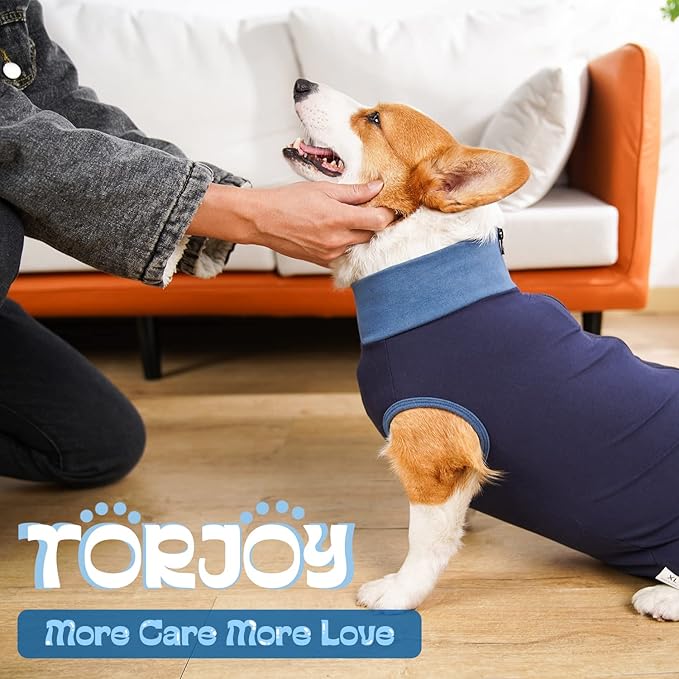 Breathable Dog Surgery Recovery Suit for Male/Female, Professional Dog Recovery Onesie with Zipper After Spay Abdominal Wounds, Anti Licking Cone E-Collar Alternative for Small Medium Large Dog-PawvioPets
