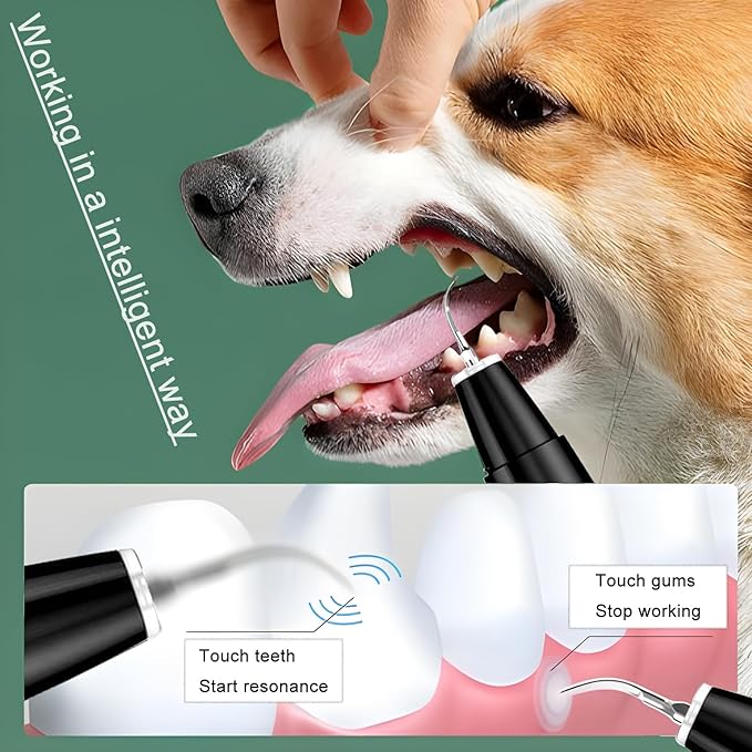 Dog Plaque Tartar Remover Pet Ultrasonic Cleaner Cat Tooth Cleaning for Cat Dog Dental Care-PawvioPets