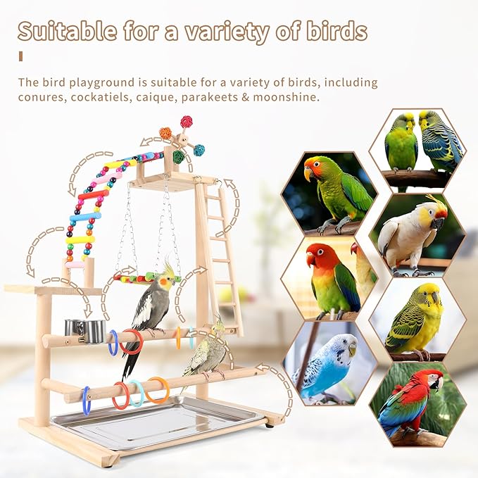 Bird Playground, Perch Stand Parrot Playstand Play Gym with 2 Perches Stand Windmill Toys, Playpen for Parakeet Conure Cockatiel Lovebird Budgie Caique, Exercise Playgym with feeding Cups-PawvioPets