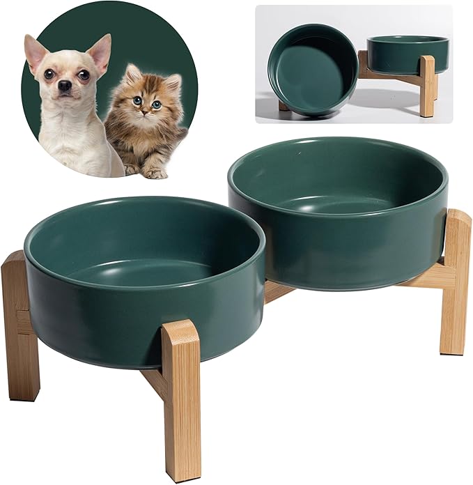 Elevated Ceramic Dog Bowl Set - Raised Feeding Bowls with Non-Slip Bamboo Stand - Small Pet Dishes for Food and Water - Ideal for Cats and Puppies - 16.23 OZ - 2 Cups - 480 ML-PawvioPets