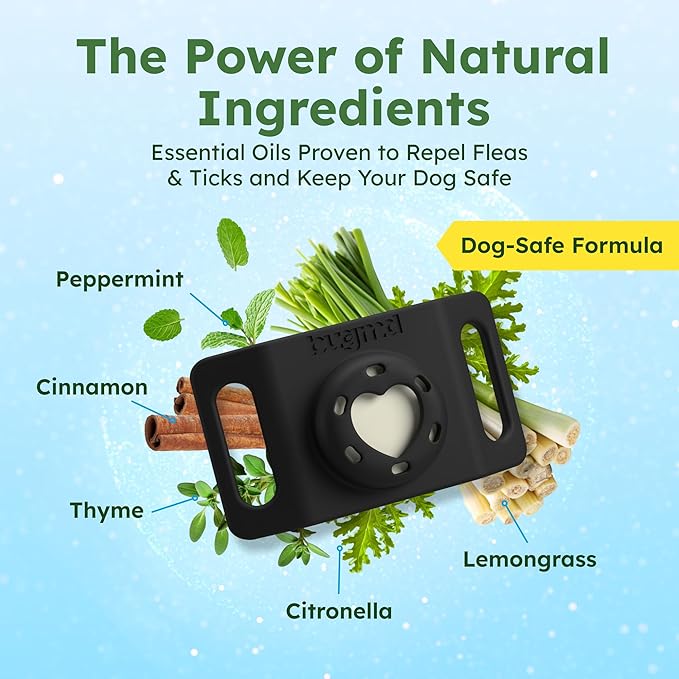 BugMD Paw Guardian Flea & Tick Pendant (3-Pack) with AirTag Holder – Plant-Based Flea & Tick Prevention for Dogs – Pet Collar Tag & GPS Tracker Holder for Dogs – Black-PawvioPets