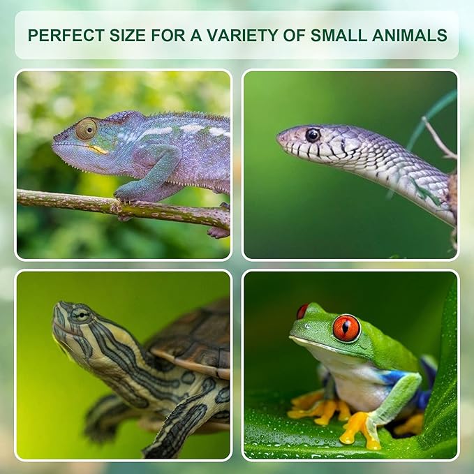 BETAZOOER Reptile Terrarium Breeding Tank Acrylic Reptile Feeding Box with Temperature Hygrometer (15.3"x9.7"x7.6")-PawvioPets