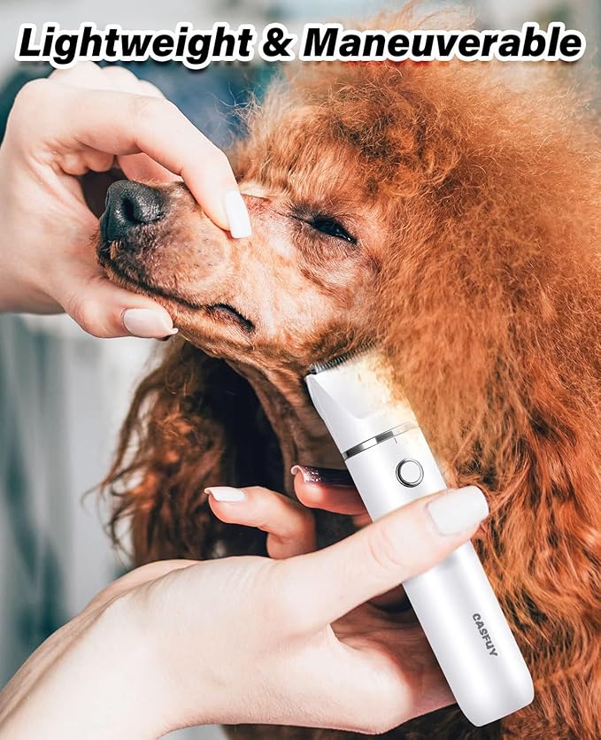 Casfuy Cordless Dog Paw Trimmer - Low Noise Small Dog Clippers with Double Blades USB Rechargeable Grooming Clipper for Dogs Cats and Small Pets for Trimming Hair Around Paws, Eyes, Ears, Face, Rump-PawvioPets