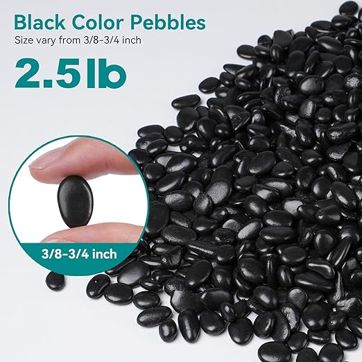2.5 lbs Black Pebbles for Indoor Plants, 3/8" Small Rocks for Plants Indoor, Succulent, Bamboo, Vase, Decorative Black River Rocks Pea Gravel, Highly Polished-PawvioPets