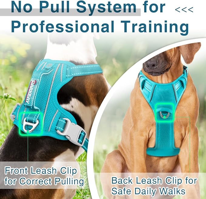 BARKBAY Dog Harness No Pull with ID Tag Pocket - Heavy Duty, Reflective, Easy Control for Large Dogs(Ocean Blue,S)-PawvioPets