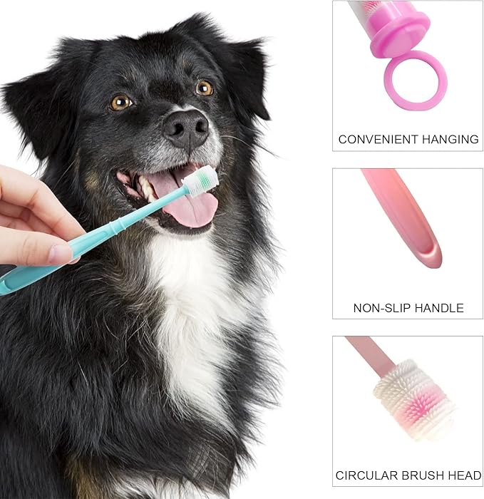 BLMHTWO 2 Pieces Cat Toothbrush, Dog Toothbrush 360-Degree Dog Toothbrushs Small with Independent Transparent Packaging Box and PP Handle Silicone Toothbrushs for Small Dogs (Green and Pink)-PawvioPets