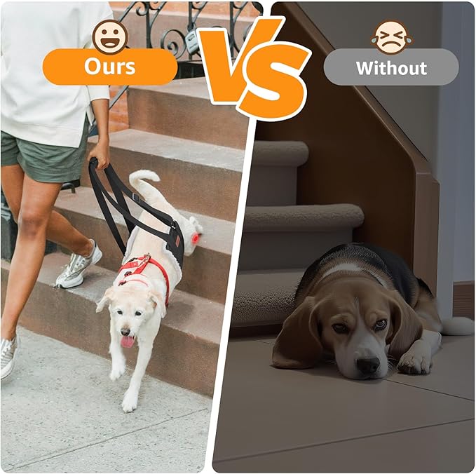 Adjustable Dog Lift Harness, Dog Sling for Large Dogs Lift Support and Rehab Harness for Weak Rear Legs, Soft Hind Leg Support Helps Senior, Injured, Disabled and After ACL Surgery Dogs(Black,Medium)-PawvioPets