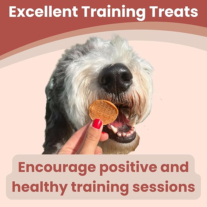 Farm To Pet Dog Training Treats, Healthy Turkey Dog Treats - 12 oz, Crunchy, Single Ingredient, All Natural Turkey Chips, Easy to Digest, Great for Dogs with Chicken Allergies, Made in USA-PawvioPets
