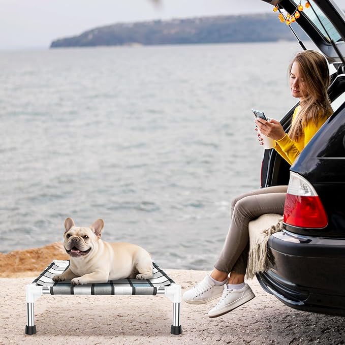 Elevated Outdoor Raised Dog Bed Outdoor Dogs Bed Lifted Pet Bed Dog Cot for Pet Taste Life, Start with A Pet Bed 20'' x 20'' x 6.5''-PawvioPets