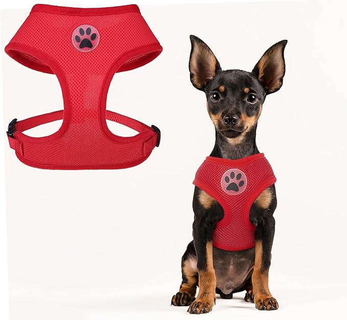 BINGPET No Pull Dog Harness - All Weather Mesh Step-in Vest for Small Dogs, Breathable Mesh Puppy & Cat Harness, Red, X-Small-PawvioPets