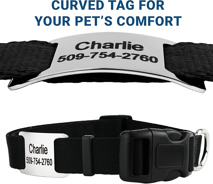 GoTags Personalized Dog Collar with Nameplate, Adjustable Dog Collar with Custom Engraved Slide On Pet ID Tag in Stainless Steel, Silent, No Noise Dog Tag for Large Medium and Small (Black, Small)-PawvioPets