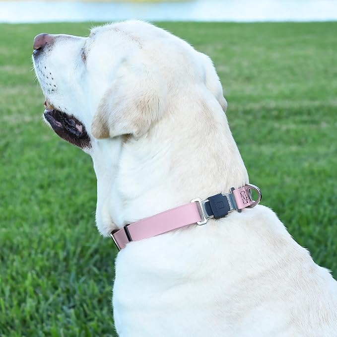 Dogline Biothane Waterproof Dog Collar with Herm Sprenger Stainless Steel Quick Release Buckle – Heavy Duty Tactical Durable Collar for Dogs – Comfortable and Safe Pet Collar, W 1" L 15-25", Pastel-PawvioPets