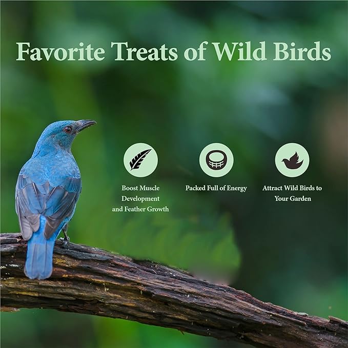 2LB Dried Mealworms for Poultry, Wild Birds,Tasty Bird Food-PawvioPets