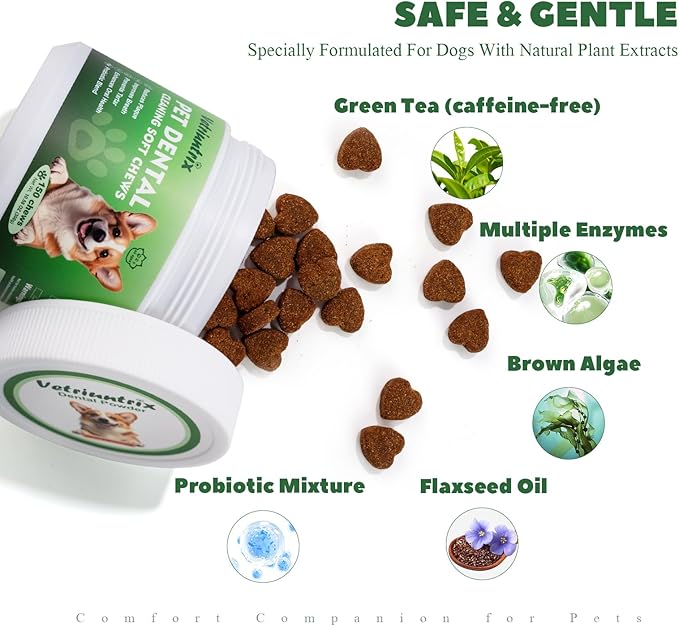 Dog Dental Care Powder - Plaque & Tartar Control with Natural Enzymes, Teeth Cleaning Powder for Dogs with Probiotic, Bad Breath Treatment for Small Medium Large Dogs-PawvioPets