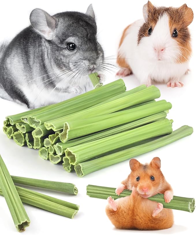 Bissap 25 PCS Guinea Pigs Chew Sticks, Natural Papaya Stems Bunny Chews Treats for Hamsters Chinchillas Small Animals Organic Molar Chewing Snack-PawvioPets