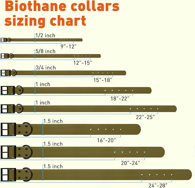 Dogline Biothane Waterproof Dog Collar Strong Coated Nylon Webbing with Black Hardware Odor- Proof for Easy Care Easy to Clean High Performance Fits Small Medium or Large Dogs, Olive Drab Green-PawvioPets