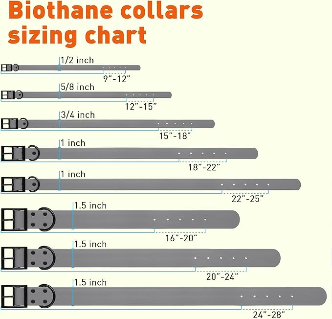 Dogline Biothane Waterproof Dog Collar Strong Coated Nylon Webbing with Black Hardware Odor- Proof for Easy Care Easy to Clean High Performance Fits Small Medium or Large Dogs, Battleship Gray-PawvioPets