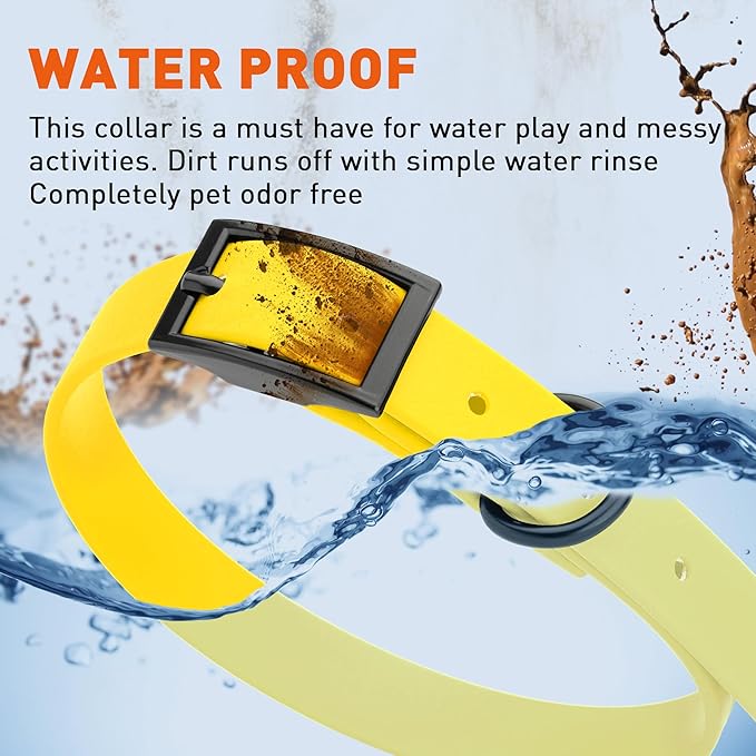 Dogline Biothane Waterproof Dog Collar Strong Coated Nylon Webbing with Black Hardware Odor- Proof for Easy Care Easy to Clean High Performance Fits Small Medium or Large Dogs, Lemon Yellow-PawvioPets