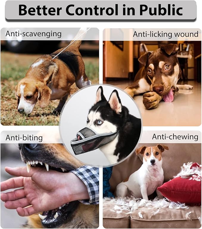 Crazy Felix Nylon Dog Muzzle for Small Medium Large Dogs Dachshund Beagle Poodle Labrador, Air Mesh Breathable and Drinkable Pet Mouth Guard for Anti-Biting Chewing Scavenging (XS, Reflective Trim)-PawvioPets