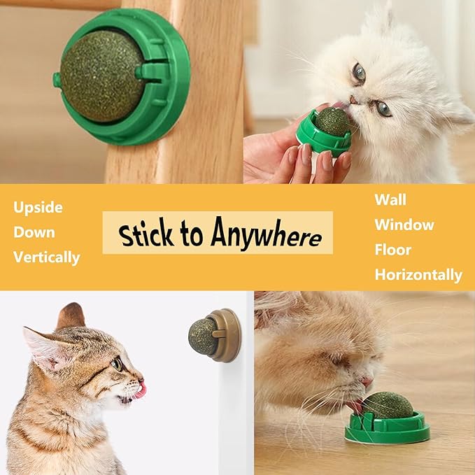 GATITOS Catnip Balls 1 Pcs, Catnip Ball for Cats Wall, Safe Healthy Kitten Chew Toys, Teeth Cleaning Dental Wall Treats, Edible Cats Lick Kitten Chew-PawvioPets