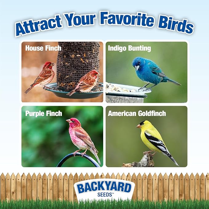 Backyard Seeds Thistle Bird Seed for Finches 50 Pounds-PawvioPets