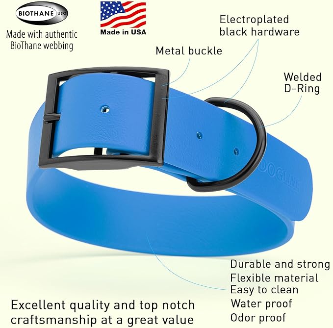 Dogline Biothane Waterproof Dog Collar Strong Coated Nylon Webbing with Black Hardware Odor- Proof for Easy Care Easy to Clean High Performance Fits Small Medium or Large Dogs, Cerulean Blue-PawvioPets