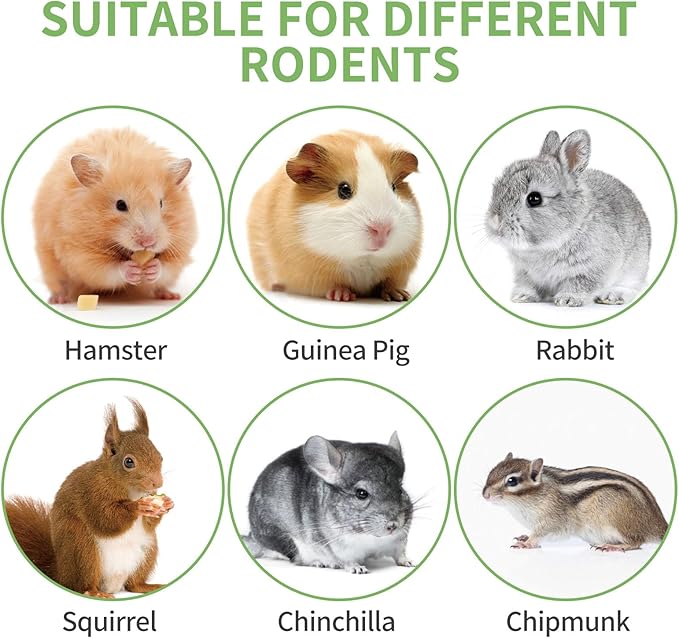 330g Natural Apple Sticks Rabbit Chew Toys, Bunny Teething Toys, Easy to Store in Jar, Ideal for Rabbit, Guinea Pig, Hamster, Chinchilla, Chipmunks, Squirrels, Gerbils and other Small Animals-PawvioPets