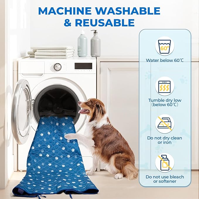 Fostanfly Washable Pee Pads for Dogs, 2 Pack Large 54"x54" Ultra-Absorbent and Leak-Proof Non-Slip Reusable Potty Training Pads for Dogs, Puppy & Cats of Add 8 Lanyards-Blue-PawvioPets