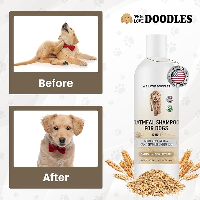 5-in-1 Premium Oatmeal Shampoo for Dogs, Gentle for Itchy & Sensitive Skin, Provides Itch Relief, Hypoallergenic & Soothing for Dry Skin, Moisturizing Anti-Itch, Made in USA, 16 oz [We Love Doodles]-PawvioPets