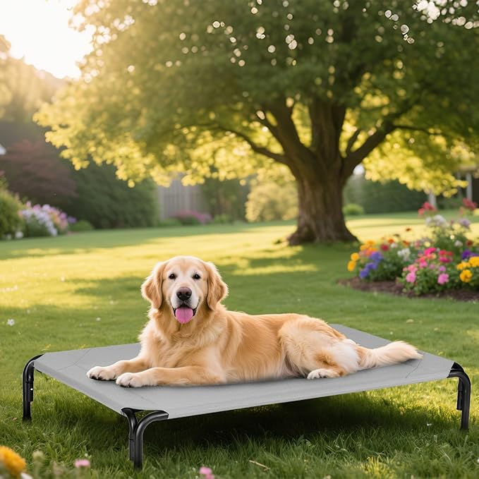 Elevated Dog Bed for Outdoor, Medium Raised Dogs Cot for Training, Cooling Pet Beds with Washable Mesh, Indestructible Lifted Platform for Outside Camping, 35 inch Grey-PawvioPets