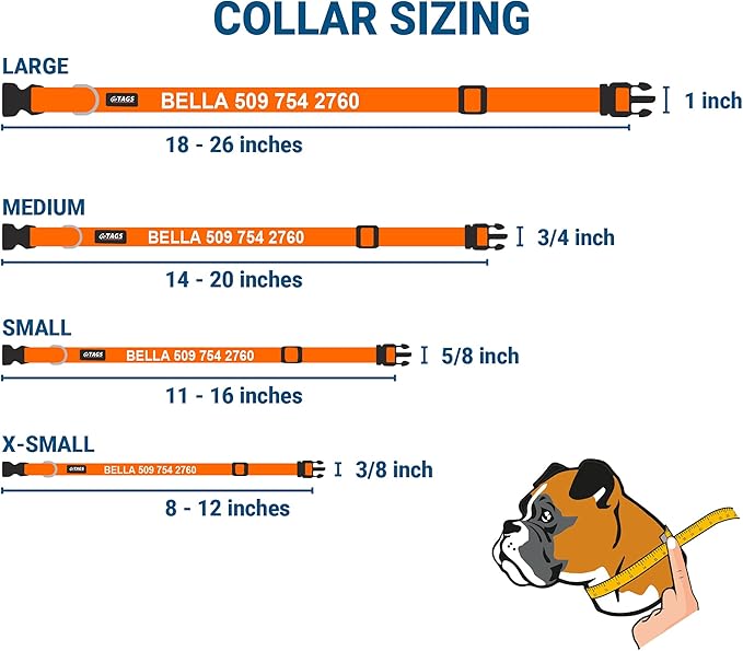 GoTags Personalized Dog Collar with Nameplate, Adjustable Dog Collar with Custom Engraved Slide On Pet ID Tag in Stainless Steel, Silent, No Noise Dog Tag for Large Medium and Small (Orange, X-Small)-PawvioPets