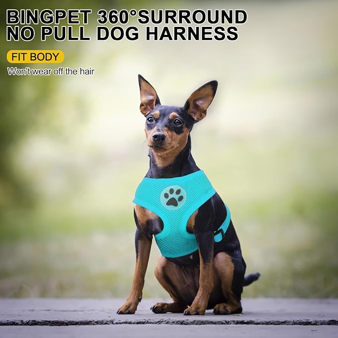 BINGPET No Pull Dog Harness,Soft Mesh Breathable All Weather Vest Harness,Safety Protection Design Durable Adjustable Step-in Easy Walk Dog Harness for Small Medium Large Dogs(RoyalBlue,XS)-PawvioPets
