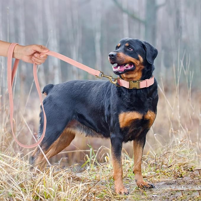 Didog Soft PU Leather Dog Collar, Stylish Quick Released Dog Collars for Large Dogs, Easy Clean Adjustable Pet Collar for Daily Walking, Pink, XL Fit 17-27" Neck-PawvioPets