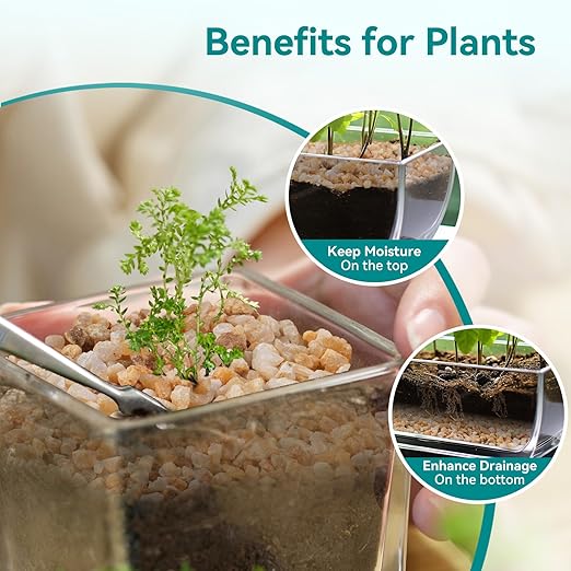 5 lbs Coarse Sand for Plants, 1/5 Inch Horticultural Sand for Vases, Aquariums, Terrarium, Fish Tank, Drainage Rocks for Potted Plants, Bamboo, Succulent, Crafts, Cactus-PawvioPets