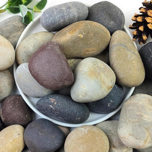20lbs Natural River Rocks, 2"-3" Premium Pebbles for Garden and Landscape Design, Hand-Picked Smooth Stones for Fish Tank, Flower Pots, Indoor Water Fountains, Pathways, Backyard-PawvioPets