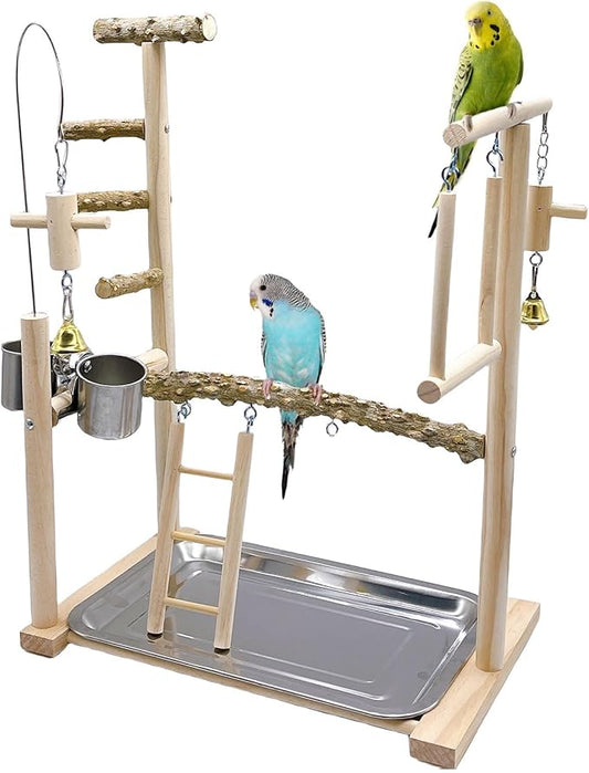 Bird Playground Parrot Playstand Bird Perch Stand Gym Natural Wood Play Stand with Swing Ladder Feeder Cups for Parakeets Cockatiels Lovebirds Conures Budgies-PawvioPets