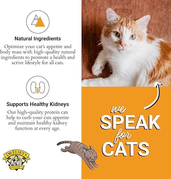 Dr. Elsey's cleanprotein Turkey Cat Kibble 2 lb. Bag-PawvioPets