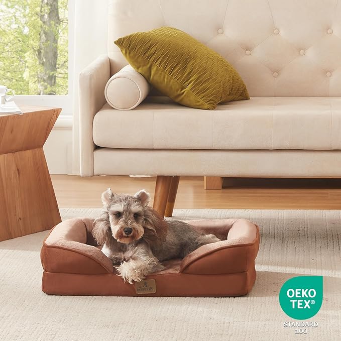 Bedfolks Orthopedic Dog Bed, Waterproof Dog Sofa Bed for Small Dogs & Cats, Egg Foam Pet Couch Bed with Removable Washable Cover and Nonslip Bottom, Brown-PawvioPets