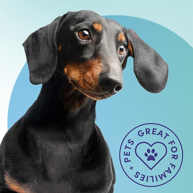 Bioesque Advanced Stain + Odor Remover, Pet-Friendly Natural Enzymatic & Bacterial Formula, Heavy-Duty Stain & Odor Remover, Safe on Carpets, Hard Floors, & More, 1 Gallon (Pack of 4)-PawvioPets