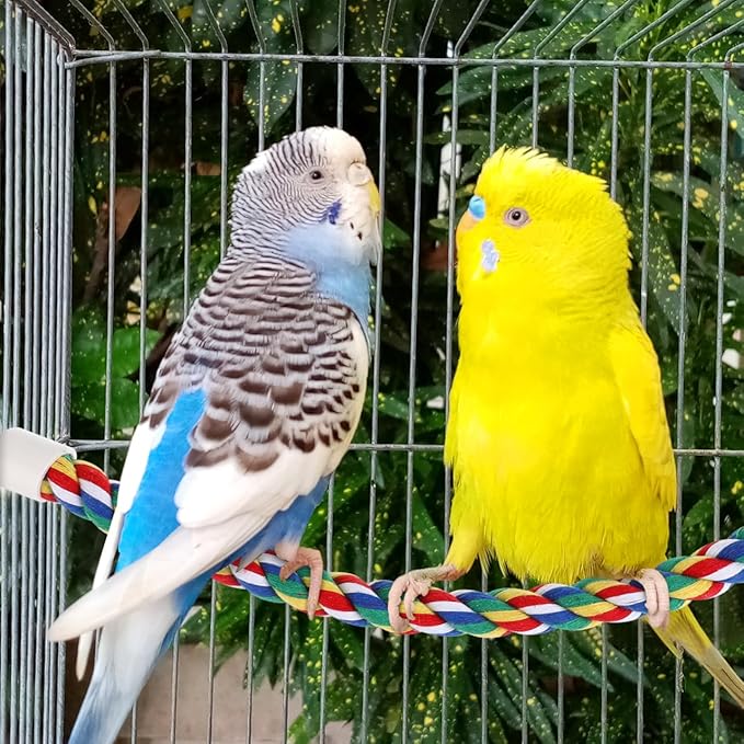 Colorful Bird Rope Perch Stand, Birdcage Swing Spiral Toys, Bird Climbing Standing Bungee Rope Perches Chew Toys Cage Accessories for Cockatiels Parrots Birds (40CM/15.7inch)-PawvioPets
