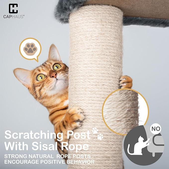 Extra Large 80-Inch Tall Cat Tree w/Widened Perch for Large Cats, Big Cat Tower Indoor, Modern Multi-Level Activity Tower with Scratching Posts, Condos, Baskets, Hammock, Scratching Ramps-PawvioPets